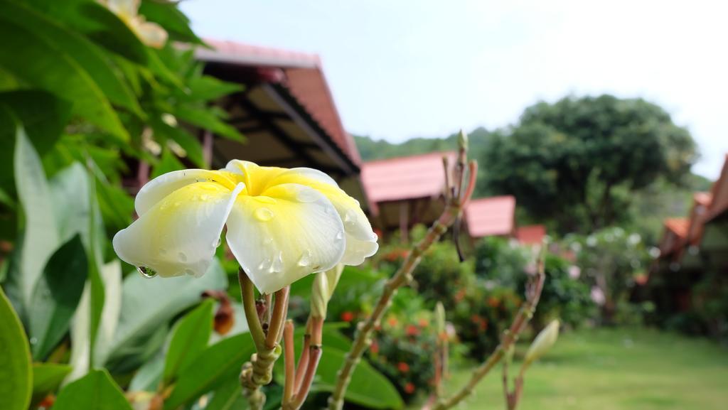 Pooltrap Village Bungalow Ko Pha Ngan Exteriér fotografie